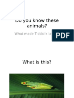 Do You Know These Animals