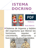 Sistema endocrino: glándulas y hormonas que regulan el organismo