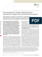 Structural genomic changes underlie alternative reproductive strategies in the ruff (Philomachus pugnax)