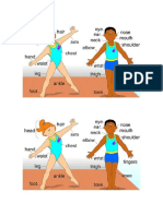 Partes Del Cuerpo Imagen Ingles