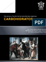 CARBOHIDRATOS presentacion