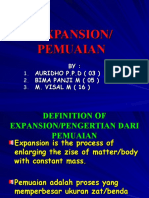 Expansion Pemuaian