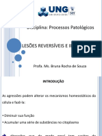 Lesões Reversíveis e Irreversíveis