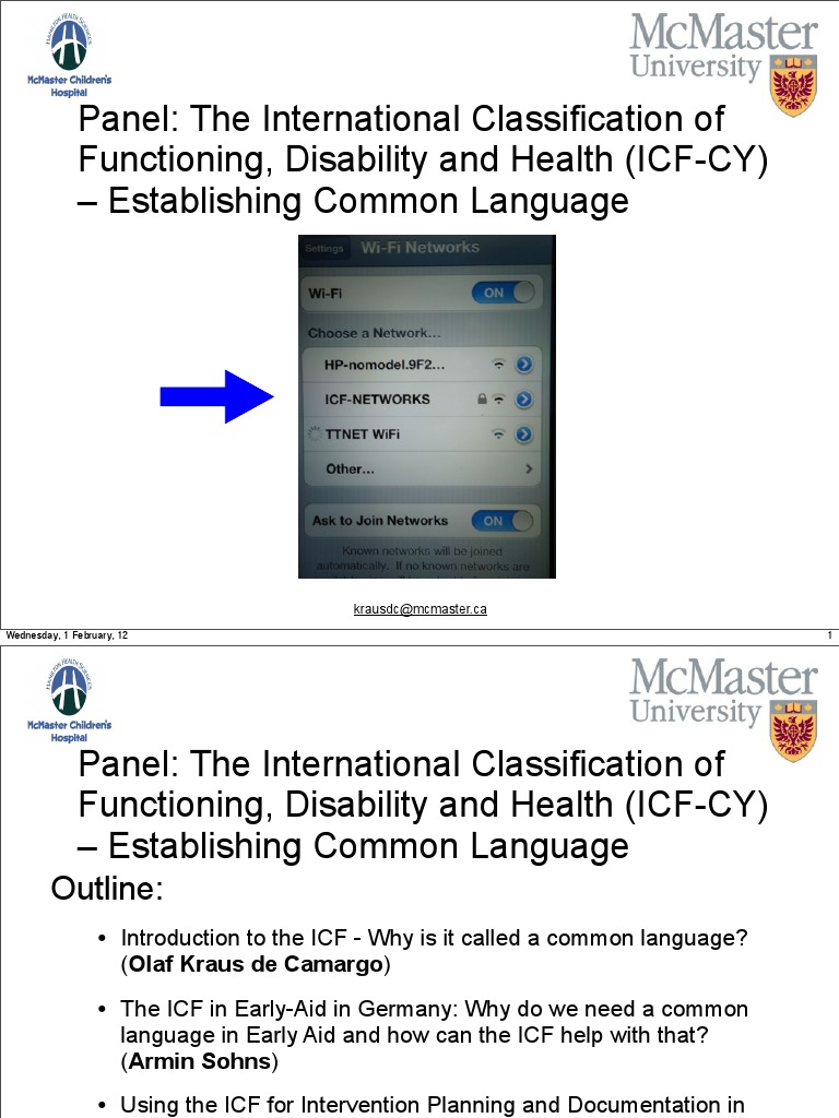 Panel: The International Classification of Functioning, Disability and ...