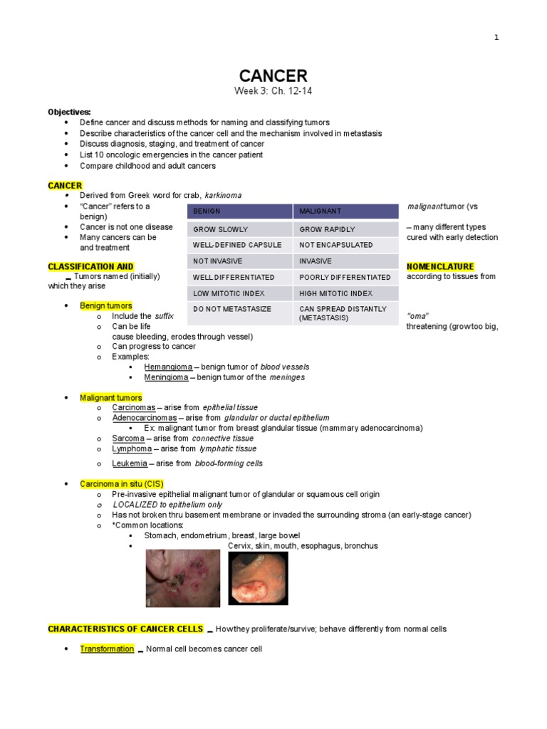 Cancer Pathophysiology Nursing Notes Metastasis Cancer