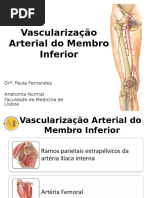 Vascularização Arterial Do Membro Inferior