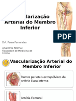 Vascularização Arterial Do Membro Inferior