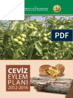 Ceviz Eylem Planı