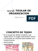  Nivel Tisular de Organizacion