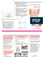 Leaflet Breast Care Ibu Menyusui