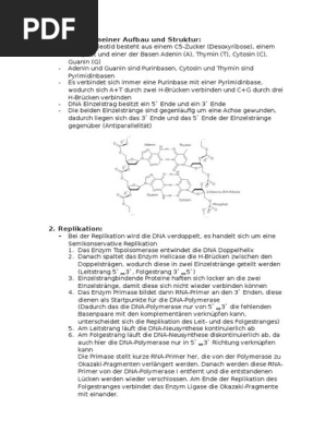 Biologie Lk Zusammenfassung