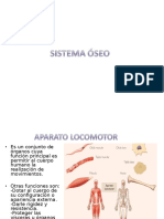 Sistema Oseo - Basico.ppt (1)