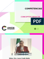 Marco competencias.ppt