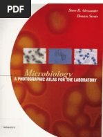 Download Microbiologia by Filipa Pimentel SN30135545 doc pdf