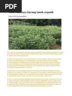 Download kacang tanah by anjas manansang SN301368996 doc pdf