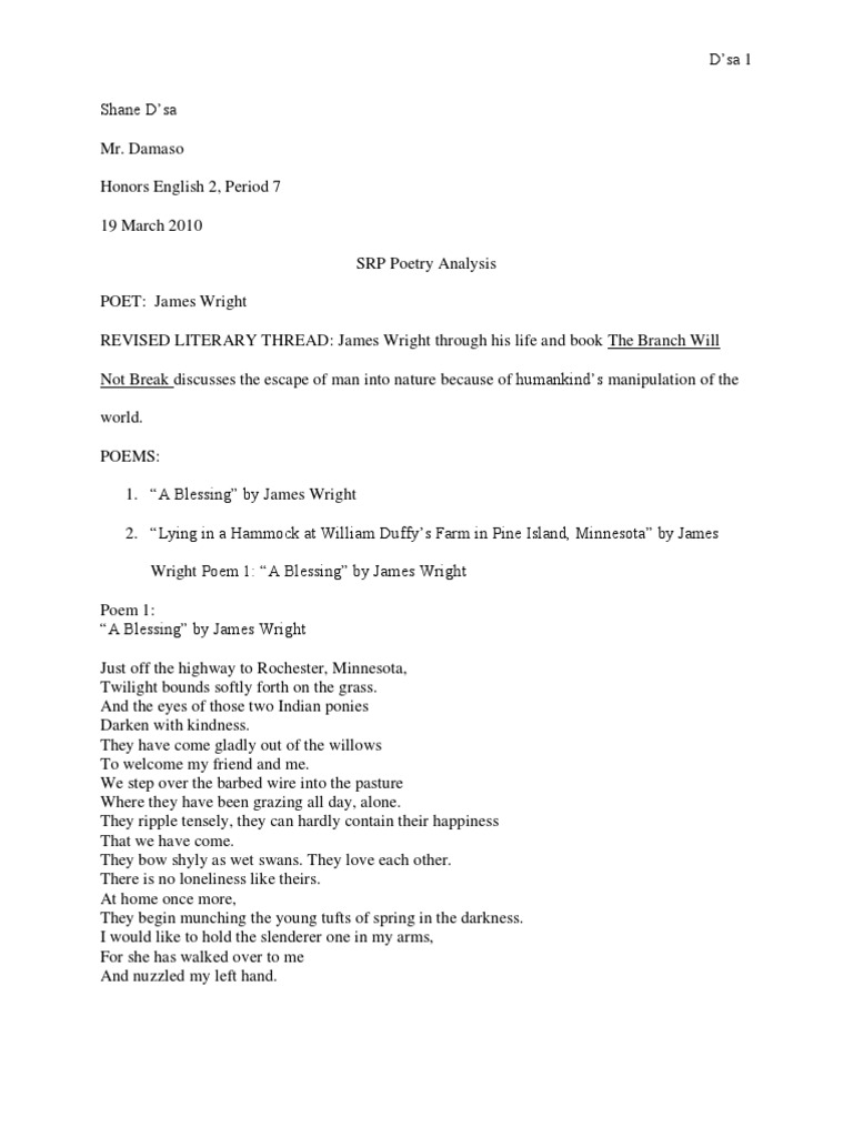 Poetry Analysis | PDF | Poetry | Metre (Poetry)