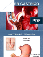 Cancer Gastrico