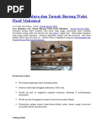 Download Cara Budidaya Dan Ternak Burung Walet Hasil Maksimal by syihab SN301396339 doc pdf