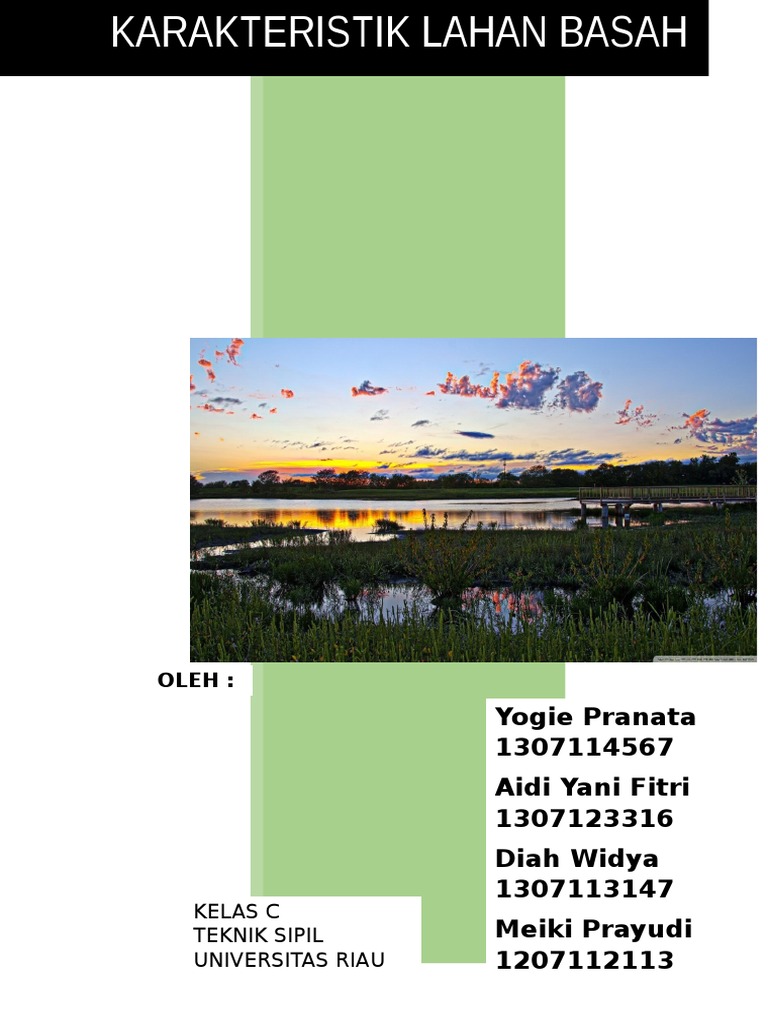 Paper Karakteristik Lahan Basah  Paper Karakteristik Lahan Basah