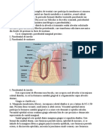Parodontiul Ref