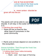 Activities That Disrupt The Cycle in An Ecosystem and Importance of Forst