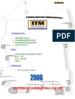 Sistema de Combustible EUI