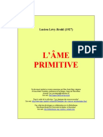 Ame Primitive