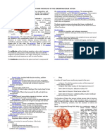 Anatomy and Physiology of the Cerebrovascular System