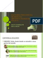 Factores Precosecha Brocoli