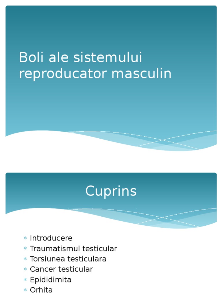 Boli Ale Sistemului Reproducator Masculin