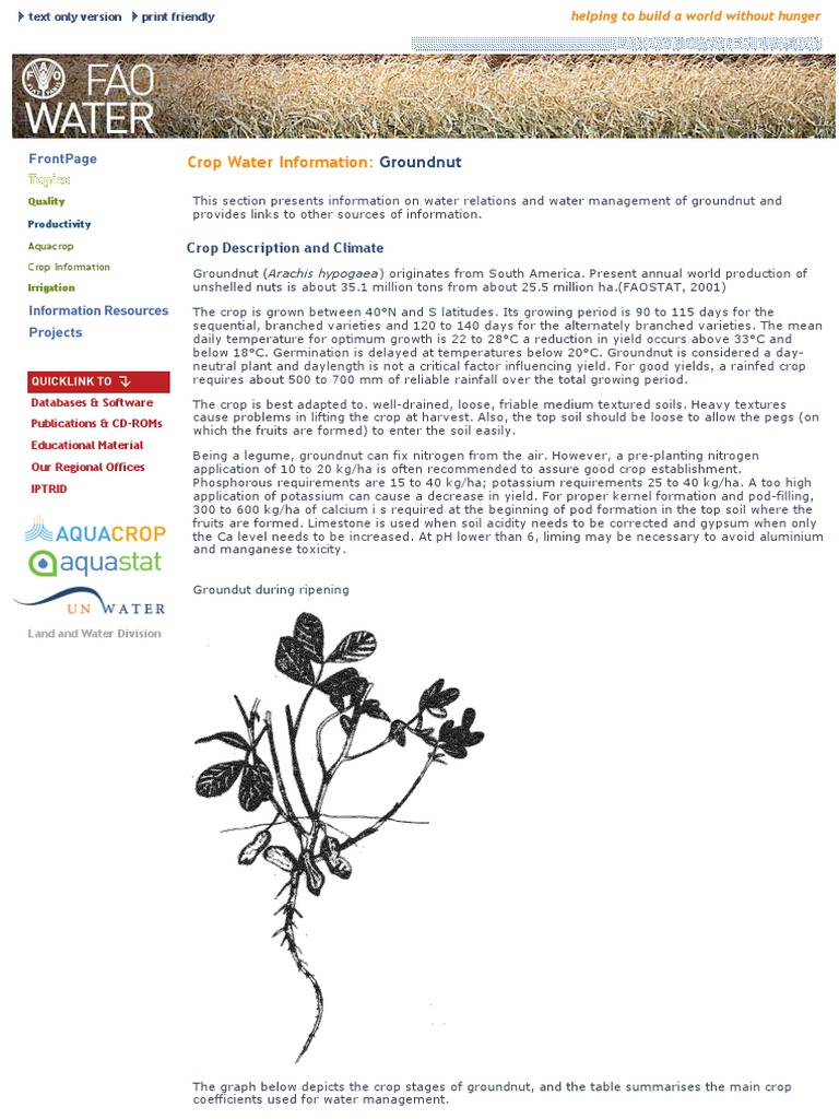 Water Requirements Peanut FAO PDF Peanuts Soil