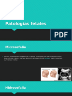 Patologias Fetales