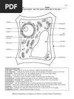 Download Work sheet - Plant Cell by qaz SN301504806 doc pdf