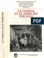1 Familia Derecho Peruano