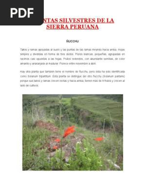 Plantas Silvestres De La Sierra Peruana Plantas Morfologia Vegetal