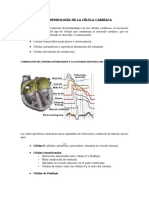 2 Electrofisiología Cardíaca