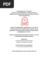 Causas y Consecuencias Jurídicas de La Falta de Un Control Efectivo en La Rendición de Cuientas en Las Diligencias de Declaratoria Judicial de Incapacidad y Nombramiento de Tutor