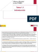11_and_12__Workshop_Outline_and_Overview_of_IFRS_for_SMEsTRADUCCIONyrt.ppt
