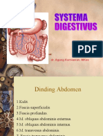 Sistema Digestivus
