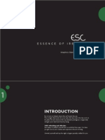 Essence of Ireland: Graphics Standards Manual