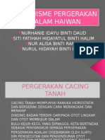 Mekanisme Pergerakan Dalam Haiwan