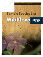 Wildflowers: Southwest Florida Water Management District
