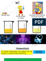 Homeostasis - Temperature