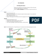 10 4b homeostasis workbook