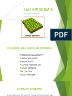 Jaringan Epidermis: Sma Negeri 8 Pekanbaru