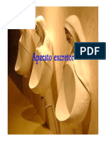 El Aparato Excretor PDF