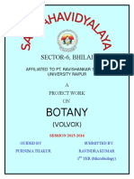 Botany: Sector-6, Bhilai