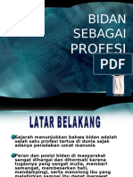 Bidan Sebagai Profesi