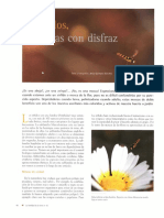 Sírfidos PDF