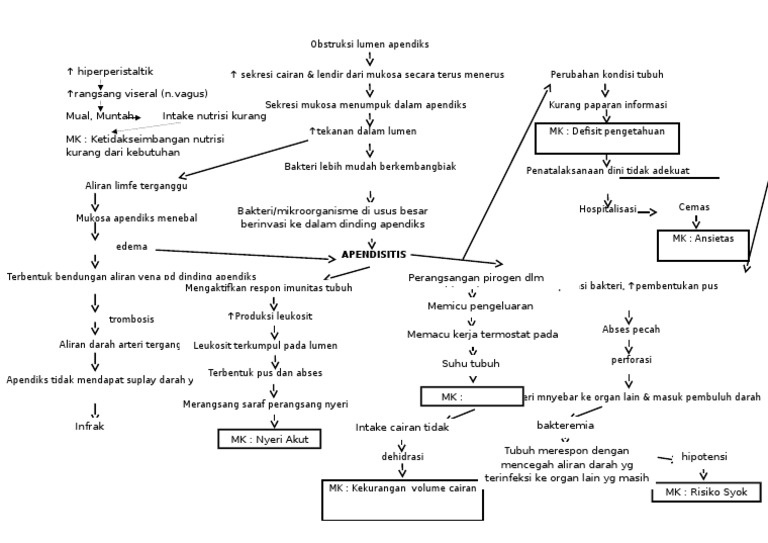 Pathway Apendisitis Akut dan Patofisiologi | PDF | Ilmu Sosial ...
